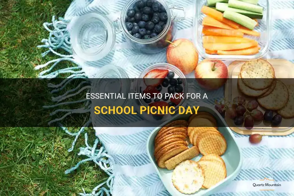 what to pack for school picnic
