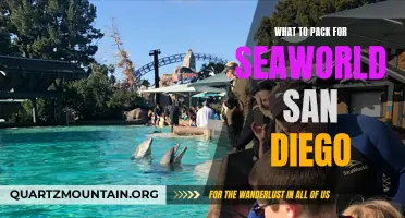 Essential Items to Pack for a Memorable Trip to SeaWorld San Diego