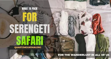 The Ultimate Guide to Packing for an Unforgettable Serengeti Safari