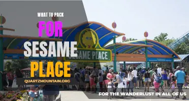 Essential Items for a Fun-Filled Trip to Sesame Place: What to Pack