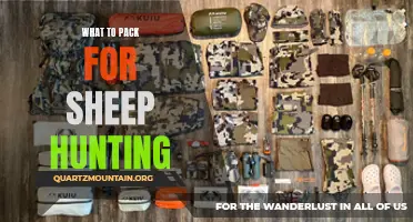 Essential Gear for a Successful Sheep Hunting Trip: What to Pack