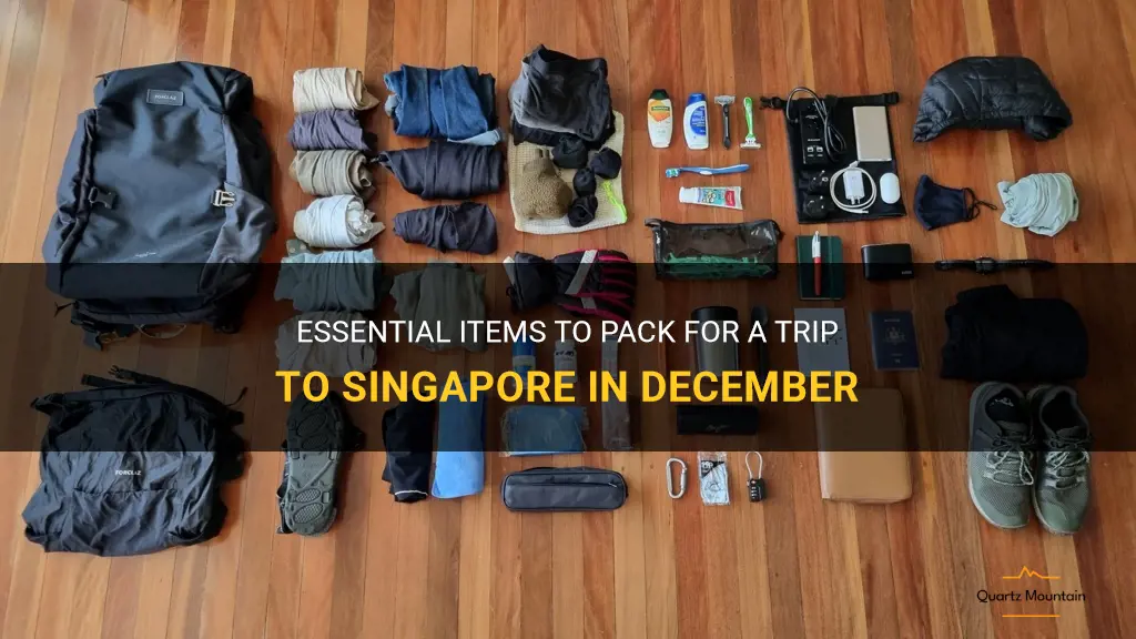 what to pack for singapore in december