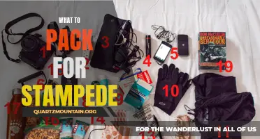 Essential Items to Pack for Stampede: Your Complete Guide