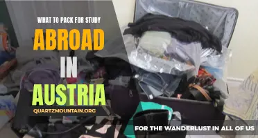 Essential Items to Pack for Studying Abroad in Austria