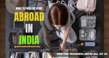 Essential Items to Pack for Study Abroad in India
