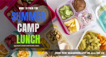 Essential Items to Pack for a Delicious Summer Camp Lunch