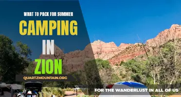 Essential Items to Pack for a Summer Camping Trip in Zion National Park