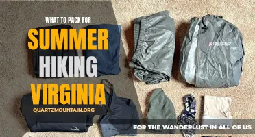 Essential Items to Pack for Summer Hiking in Virginia