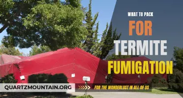 Essential Items to Pack for Termite Fumigation: A Comprehensive Guide