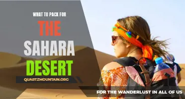 Essential Items to Pack for Your Sahara Desert Adventure