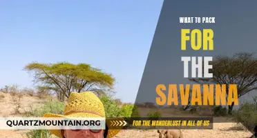 Essential Items to Pack for a Safari Adventure in the Savanna