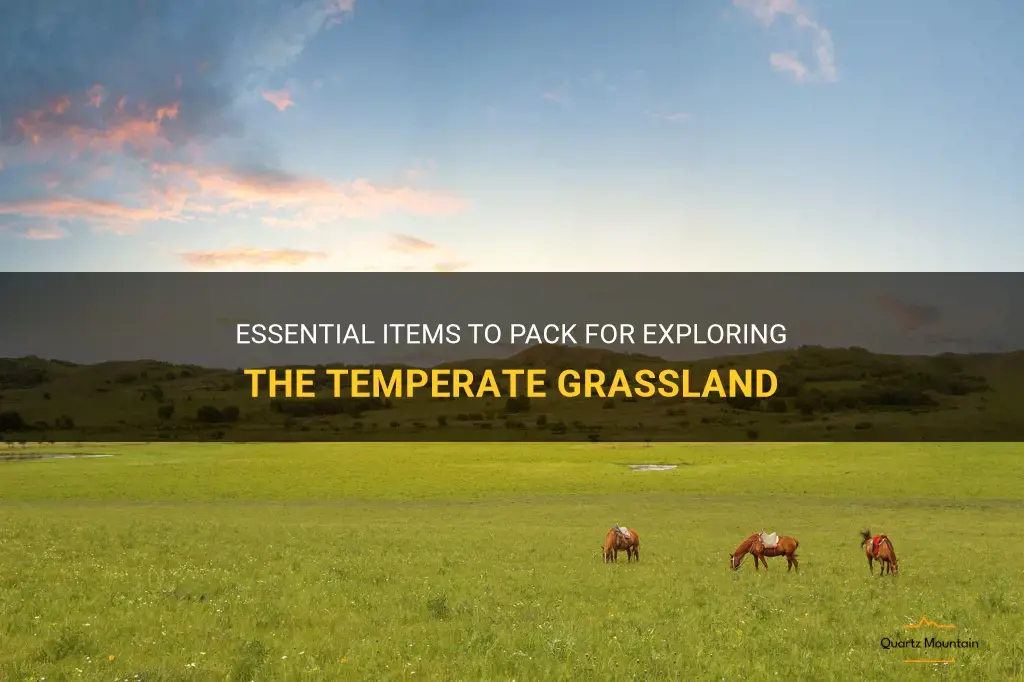 what to pack for the temeperate grassland