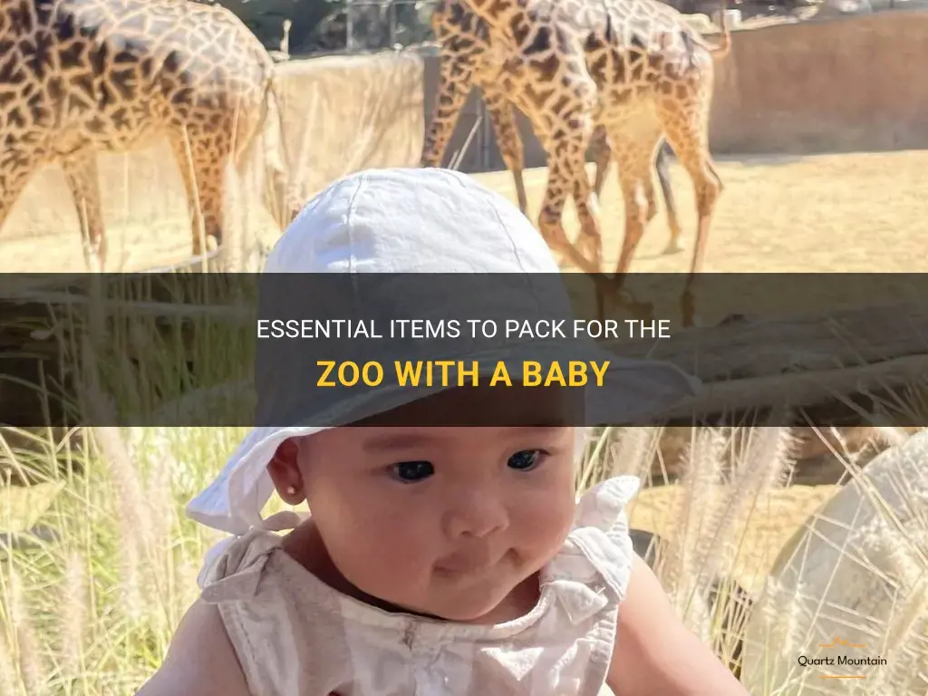 what to pack for the zoo with a baby