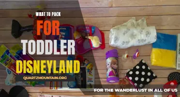 Essential Items for a Toddler's Trip to Disneyland: What to Pack for a Magical Adventure