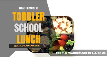 The Ultimate Guide for Packing a Delicious Toddler School Lunch