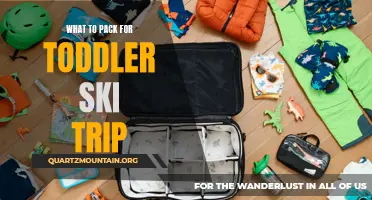 Essential Items to Pack for a Toddler Ski Trip: A Comprehensive Guide