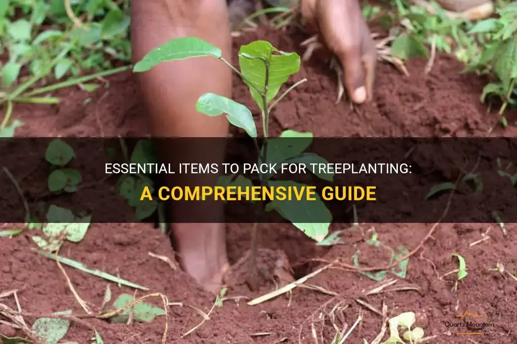 what to pack for treeplanting
