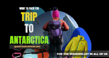 Essential Items to Pack for a Trip to Antarctica