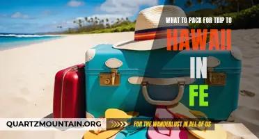 Essential Packing Guide for a February Trip to Hawaii