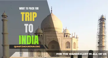 Essential Items to Pack for a Trip to India