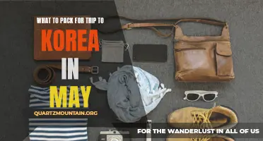 Essential Items to Pack for Your May Trip to Korea