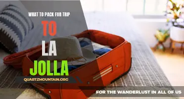 Essential Items to Pack for a Trip to La Jolla