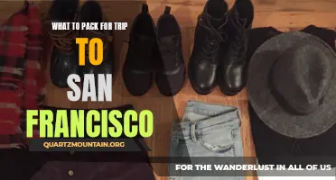 Essential Items to Pack for a Memorable Trip to San Francisco