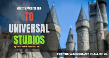 Essential Items to Pack for a Memorable Trip to Universal Studios
