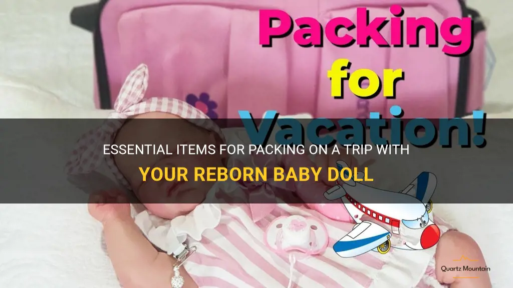 what to pack for trip with reborn baby doll