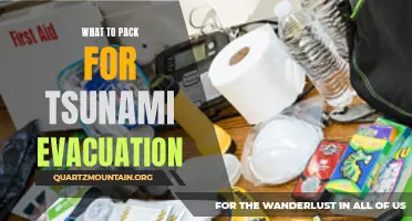 Essential Items to Pack for a Tsunami Evacuation