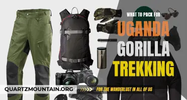 Essential Items to Pack for Your Uganda Gorilla Trekking Adventure