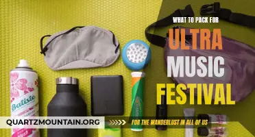 Ultimate Guide: Essential Items for Ultra Music Festival - Packing Tips and Must-Haves
