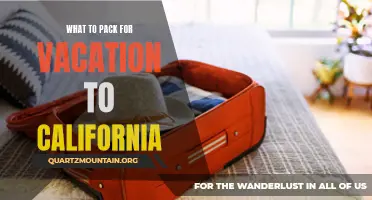 Essential Items to Pack for a Vacation to California