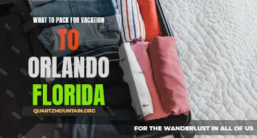 Essential Items to Pack for a Memorable Vacation to Orlando, Florida