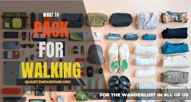 Essential Items to Pack for a Walking Adventure