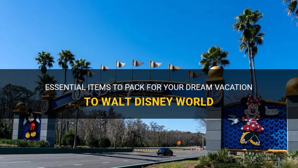 what to pack for wdw