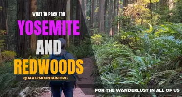Packing Guide for Exploring Yosemite and Redwoods National Park