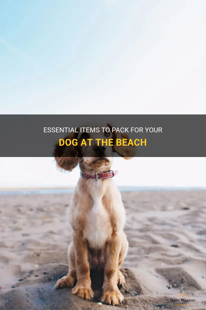 what to pack for your dog at the beach