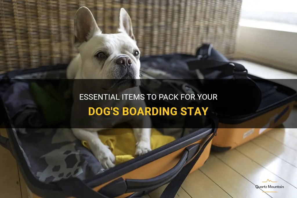what to pack for your dog boarding