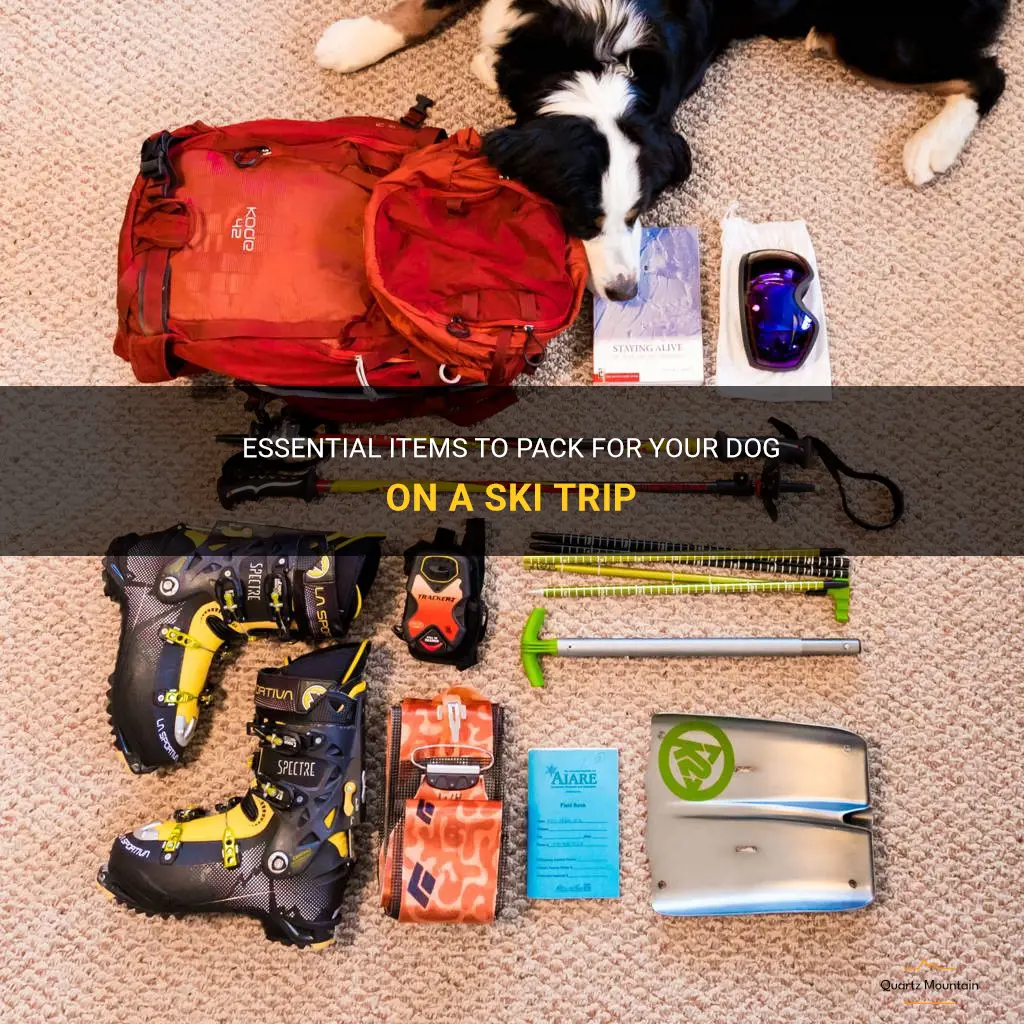 what to pack for your dog on a ski trip