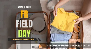 Essential Items to Pack for a Fun-filled Field Day
