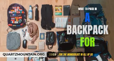 What to Pack in a Backpack for Your Next Adventure