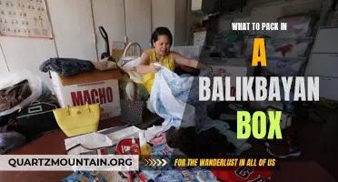 Essential Items to Include in Your Balikbayan Box