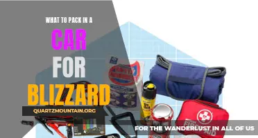 Essential Items to Pack in Your Car for a Blizzard