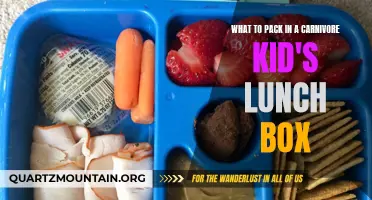 Ideas for Packing a Delicious Carnivore Lunch Box for Your Kids