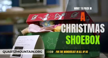 Essential Items to Include in Your Christmas Shoebox for a Child in Need