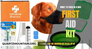Essential Items to Include in a Dog First Aid Kit