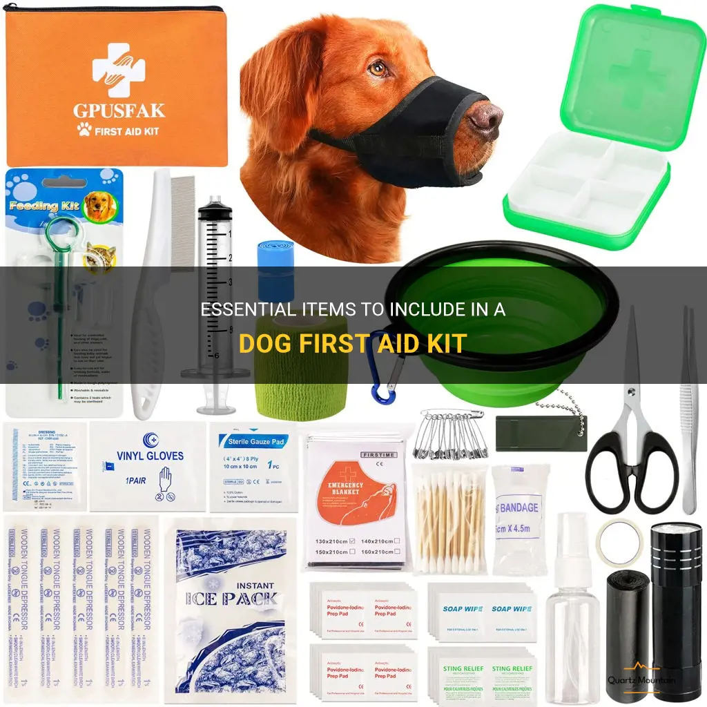 what to pack in a dog first aid kit