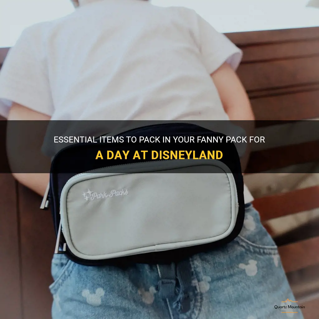 what to pack in a fanny pack for disneyland