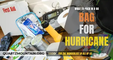 Essential Items to Include in a Go Bag for Hurricane Preparedness